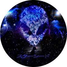 画像をギャラリービューアに読み込む, スターシードビニール