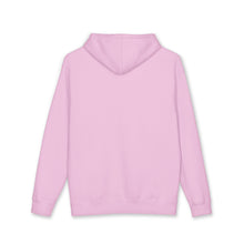 画像をギャラリービューアに読み込む, RAINY BEAR SFCB UNISEX HEAVYWEIGHT HOODIE - MULTI COLORS
