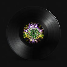 画像をギャラリービューアに読み込む, FRACTALS VINYL
